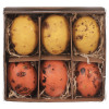Veľkonočná dekorácia Vyfúknuté vajíčka, 6 ks, žltá/oranžová